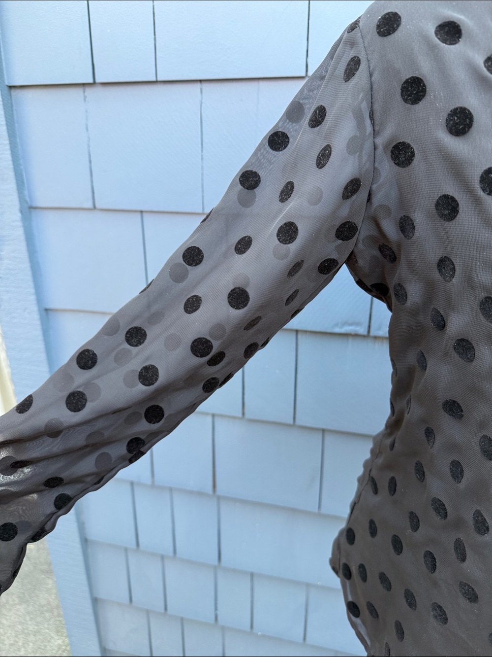 Polka Dot Button-Down Shirt Blouse in Taupe with Black Dots medium velvet - Picture 5 of 10